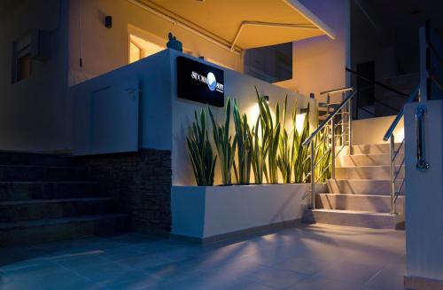 Amigdhalokefali Apartment | Sidonia Suite