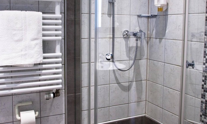 Bad Steben Hotel | Single room-Ensuite with Shower