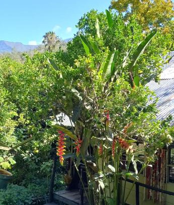 Choachi House | Skale Peregrino