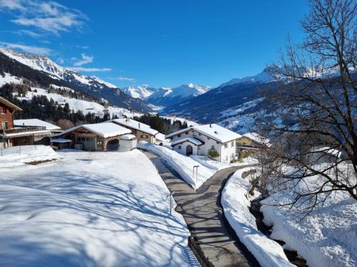 Pany Apartment | Ski fahren-Schneeschuhwandern-Langlauf inkl Hallenbad