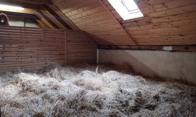 Lauta House | Sleeping in the hay/hay bed - Ferienhof Sarodnick
