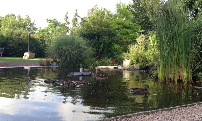 Simrishamn Apartment | Solrosen i Simrishamn