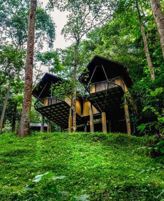 Elappara Resort | Song Of The Trees Nature Stay Kutitkanam by LexStays