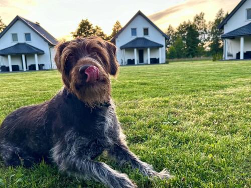 Kopalino House | Sosnówka - domki nad morzem