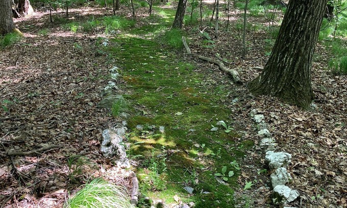 East Chatham Apartment | Spacious 1-bedroom apartment in peaceful East Chatham with WiFi