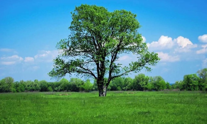 Siaya Bed & Breakfast | Spacious Apartment for anyone visiting Siaya- close to great sites