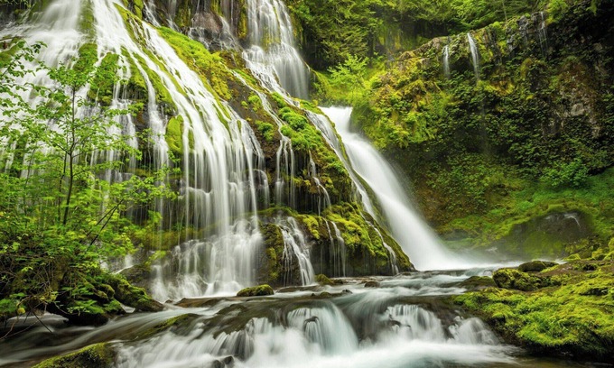 Lake Forest House | Spacious extended-stay hotel near Portland - Lake Oswego