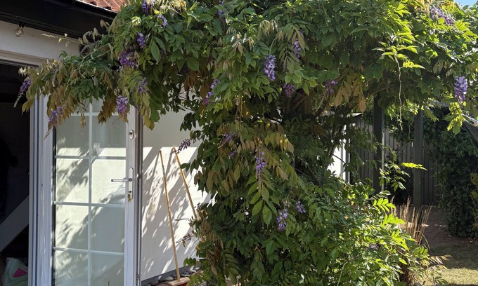 Kaseberga House | Spacious house in Kåseberga near Ales Stenar