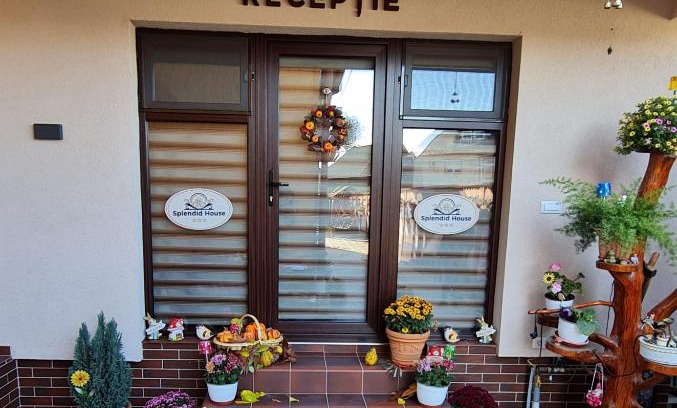 Fagaras House | Splendid House