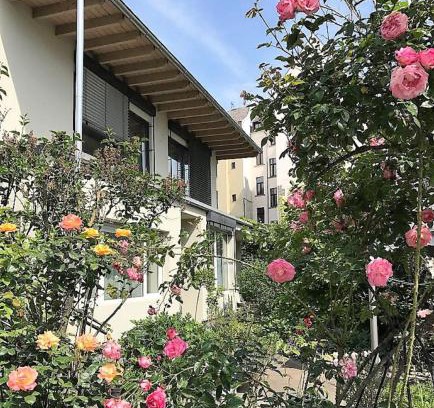 Lutzel Apartment | Stadtoase Koblenz