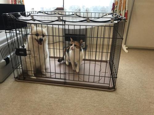 Hakodate Apartment | STAY Akeboshi Kan