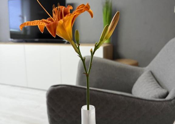 Gieckau Apartment | stay!apart Gieckau