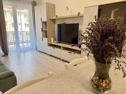 Suceava Apartment | Staywell Accomodation city center with underground parking and AC