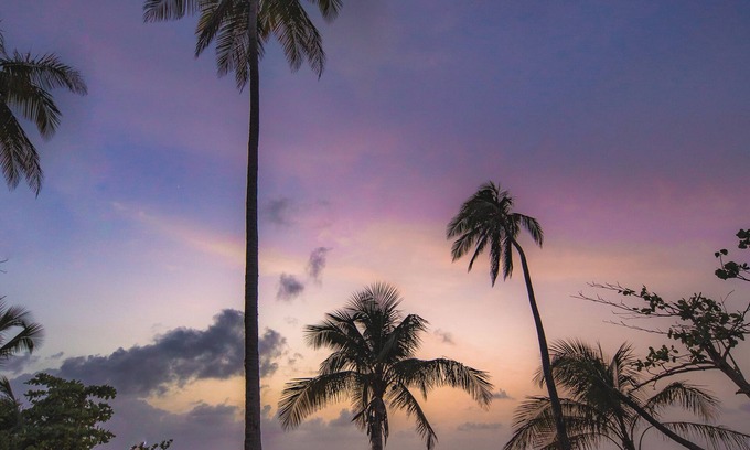 Carolina Apartment | Steps to Beach on 12th Floor w/Parking @ ESJ