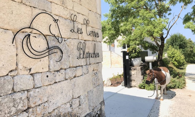 Le Boulve House | Stone cottage south of Lot, Occitanie. Calm, nature, countryside, pond, horses