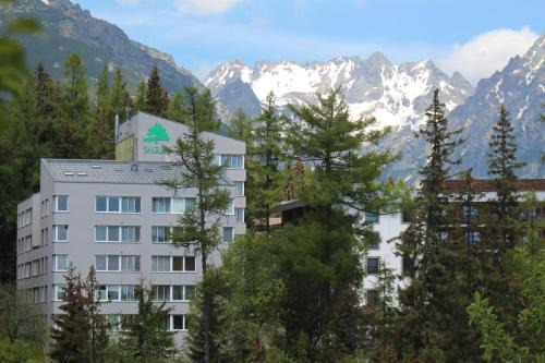 Strbske Pleso Apartment | Strbske Pleso Smrek Penthouse Apartment