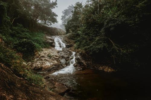 Kottappadi part House | Stream Garden Mountain Resort