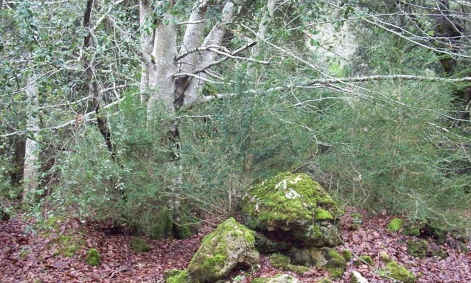 Genevilla House | Stroll through its beautiful landscapes and enjoy tranquility