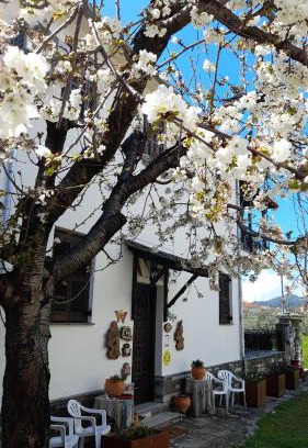 Kala Nera Apartment | Studio Sevasti