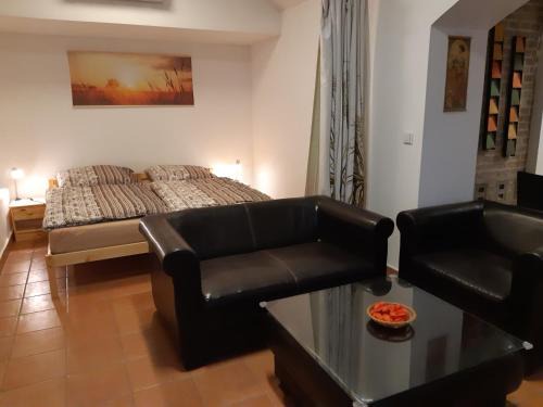 Hradec Kralove Apartment | Studio Voluntário