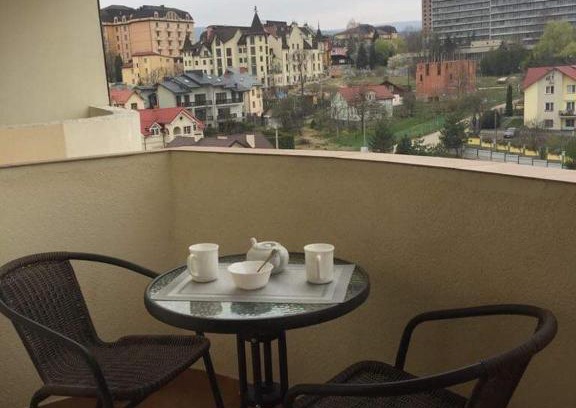 Truskavets Apartment | Studio with separate bed room