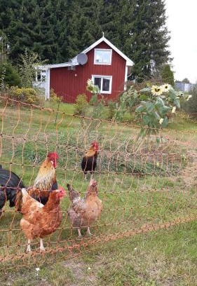 Klatten House | Stuga Åsnagård