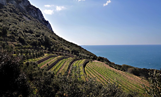 Cala Piccola House | Stunning sea view cottage, surrounded by vineyards, with beach access: 'Lentisk'