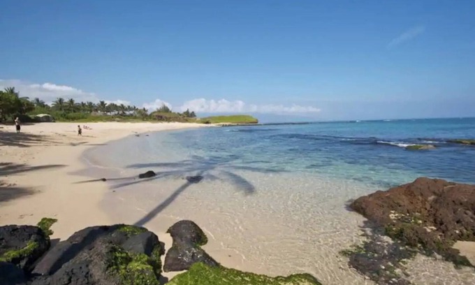 Kuau Apartment | Suite on North Shore property. Walk to beach & town!