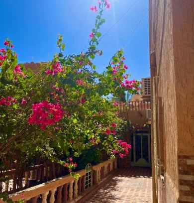 Erfoud Villa | Sunny City Villa with a Garden