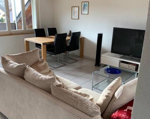 Pfaffikon District Apartment | Sunny private Apartment in an amazing valley