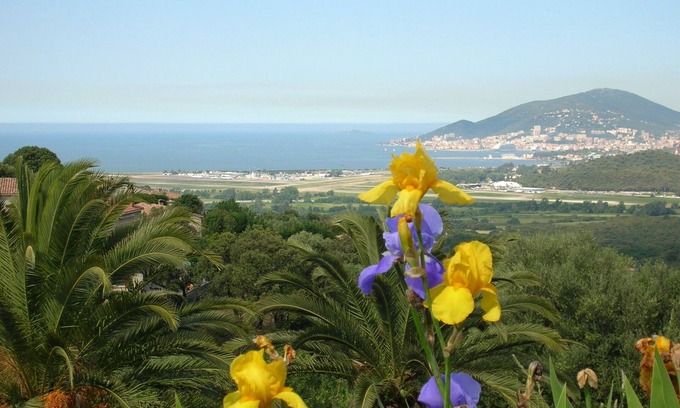Bastelicaccia House | Superb studio, view of the sea, garden, ground floor of villa in the countryside