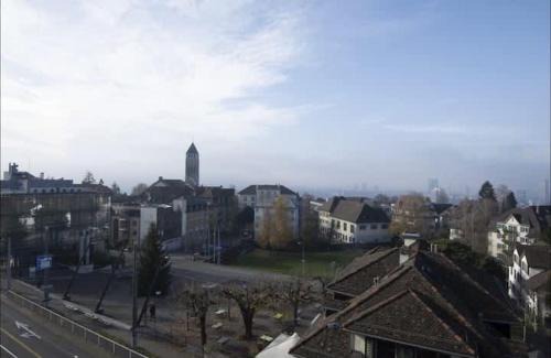 Oberstrass Apartment | Superior Apartment with City View - University110