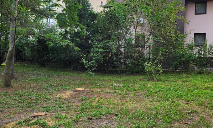 Telese Apartment | Surrounded by olive, oak and pine trees with panoramic views