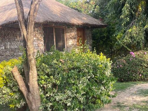 Takawiri Island House | Sweta Takawiri island cottage