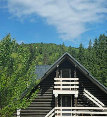 Myslivka Apartment | Synevyr House 2