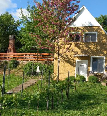Baj House | Szőlőskert Vendégház