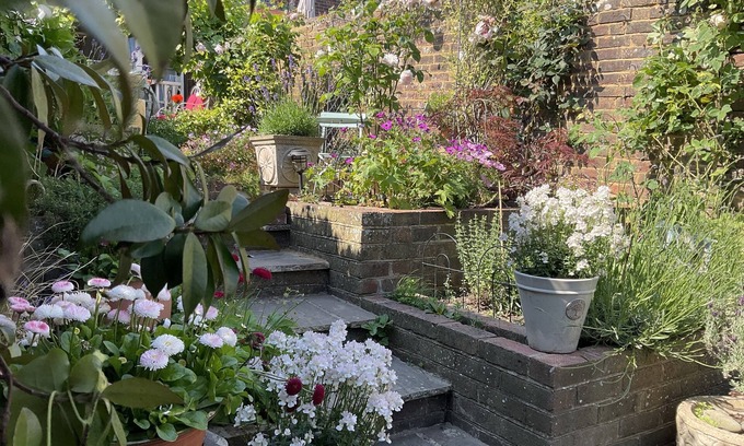 Arundel Cottage | Tarrant St Cottage with lovely garden