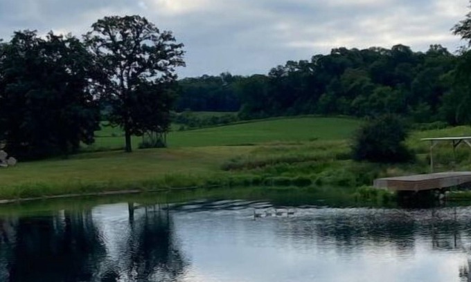 Whitehall House | Tent site ground