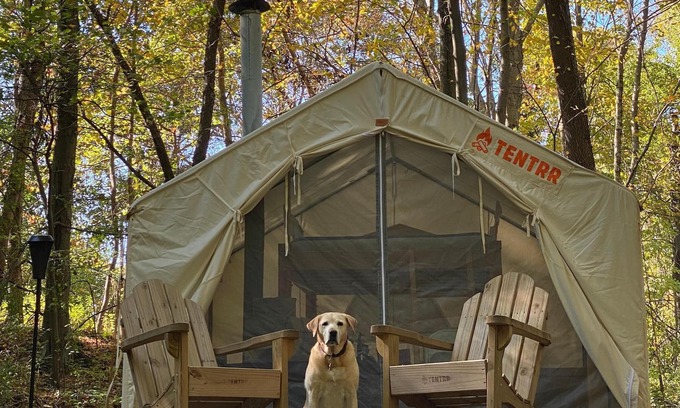 Brewster RV Rental | Tentrr Signature Site - Holmestead Woods