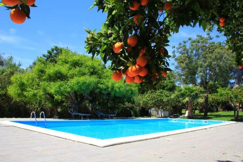 San Giorgio-Librino-San Giuseppe la Rena-Zia Lisa-Villaggio Sant'Agata Apartment | Terre del Cardinale Country Suites