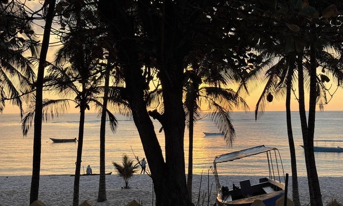 Tiwi Hotel | The Coconut Beach Boutique Lodge & Spa