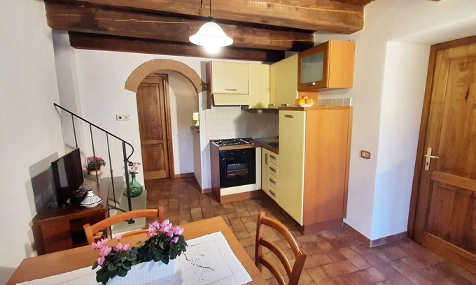 Moggiana Apartment | THE COURT - BEAUTIFUL TUSCAN RUSTIC