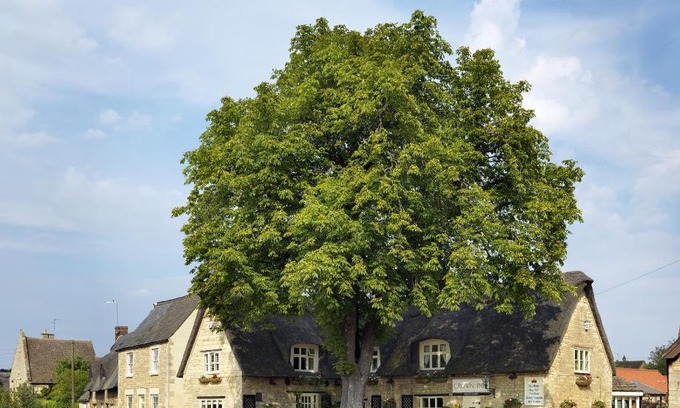 Elton Hotel | The Crown Inn