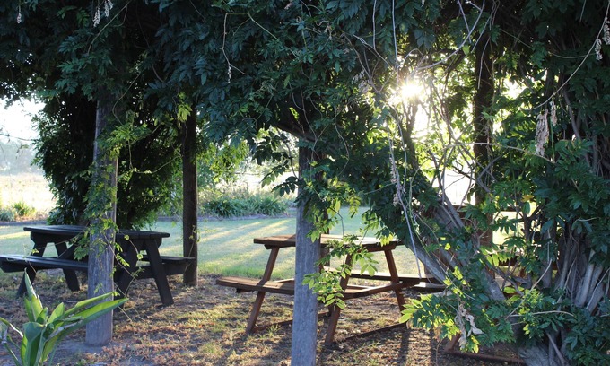 Central Mudgee Hotel | The Cudgee at Mudgee
