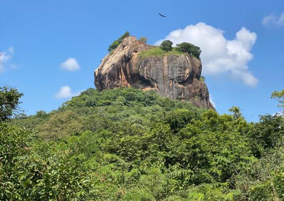 Moragaswewa Apartment | The Elephant Hide villa Sigiriya