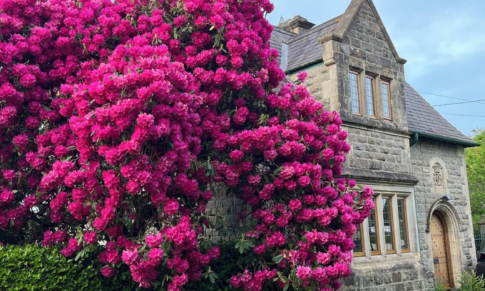 Kilkenny Apartment | The Emerald Heaven in the heart of Kilkenny city