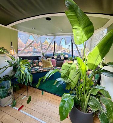 Hackney Wick Boat Rental | The Floating Terrarium