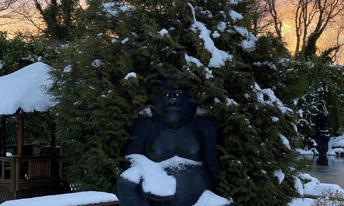 Saint Asaph Apartment | The Fox Den - Luxury 2 bedroom apartment with private shower room and hot tub