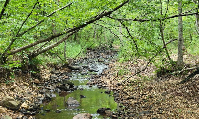 Annapolis House | The Happy Camper with Outdoor Kitchen. Near Annapolis, Black River, Sam Baker.