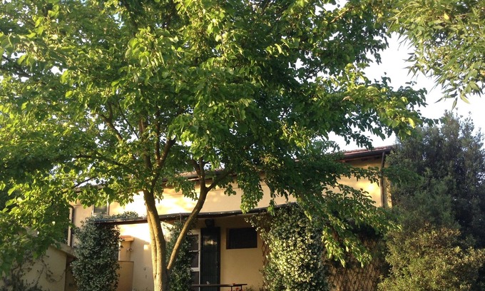 Manciano House | the house in the garden